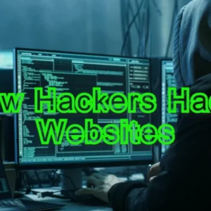 Website Hacking
