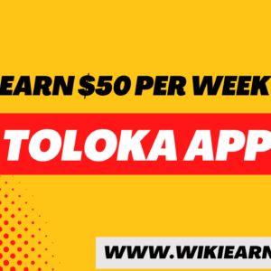 Toloka App