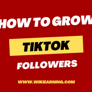 Tiktok Followers